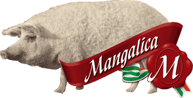 Mangalica Pork