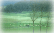 La mancha's nature