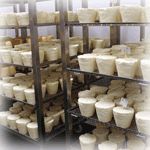 An Asturian cheese Afuegal Pitu -D.O.P