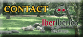 contact