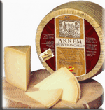 写真：カスティーリャ・ラ・マンチャ州のスペインチーズ（ケソ）[マンチェゴチーズ=ケソ・マンチェゴ(Queso Manchego)]