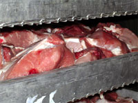 Villani(ビラーニ）工場：サラミ製造工程1　原料肉受入れ