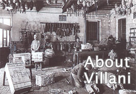 Villani/ビラーニについて