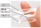 生体機能チップ　Organ-On-A-Chip