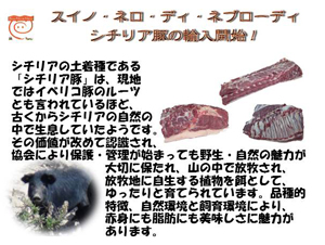 スイノ・ネロ・ディ・ネプローディ シチリア豚の輸入開始