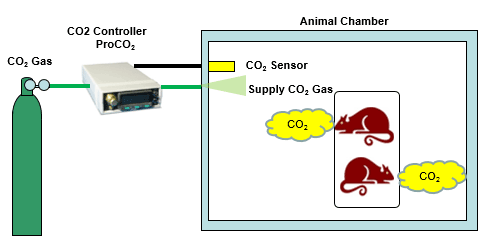 I want to execute animal experiment in CO2 enriched condition.