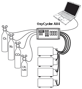 Oxy Cycler A84を使用