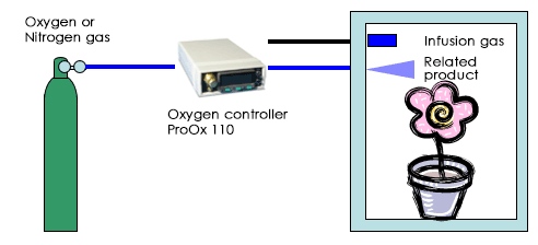Botanical experiment in hypoxia and higher oxygen condition.