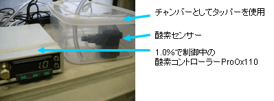 C-チャンバーの代わりにお持ちのチャンバー（例えばタッパーウェアなど）もご利用頂けます