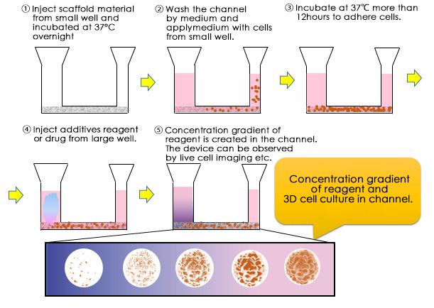 CEP3S II conceptual workflow for apply scaffold, cell and reagent