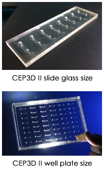 CEP3D II