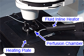Perfusion System