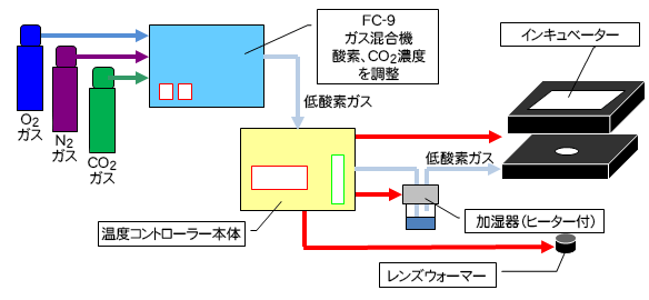システム2
