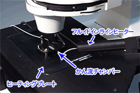 かん流システム