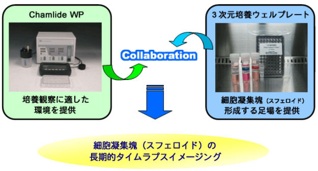 画像：インキュベーター装置Chamlide WPとスフェロイド培養を可能とする3次元培養ウェルプレートとのコラボレーション