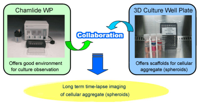 3D cell culture system