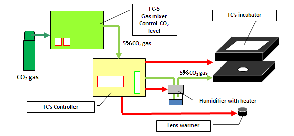 Example 1.　5％CO2 Live cell imaging (Chamlide TC & FC-5）