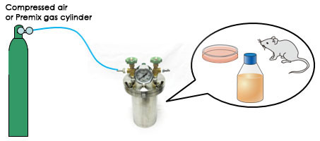 Cell Culture or Small animals Experiment