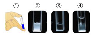 Step3 DNAを精製する