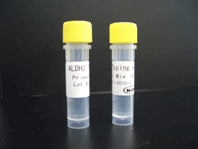 画像：ALDH2 Typing Kit