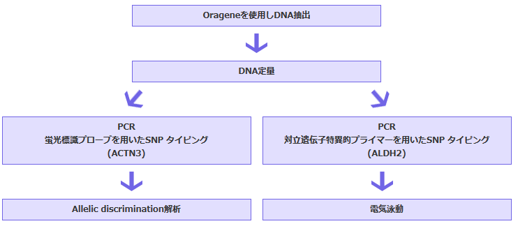 画像：実習手順