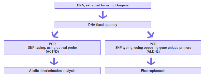Experiment order