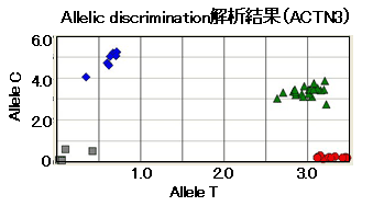 画像：解析結果（ACTN3）