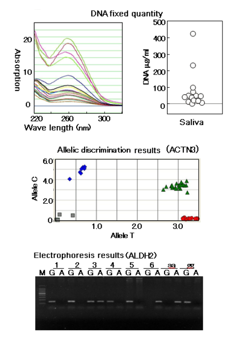 Experiment results