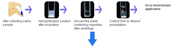 Step 3 DNA Purification