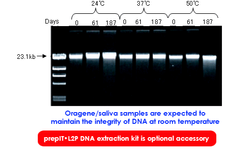 Step 3 DNA Purification