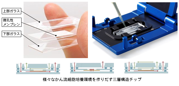 Micronit社のOrgan-on-a-Chip は、ガラスとメンブレンによる再封可能な 三層構造チップです