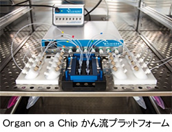 画像：Organ-on-a-Chip かん流プラットフォーム