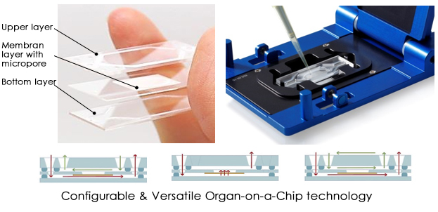 Configurable & Versatile Organ-on-a-Chip technology