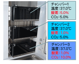 複数のインキュベーター
