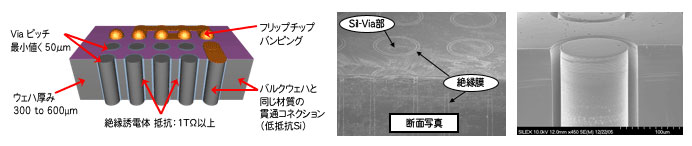 Sil-Via