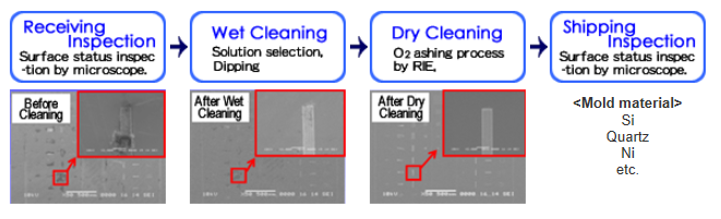Mold Cleaning Service