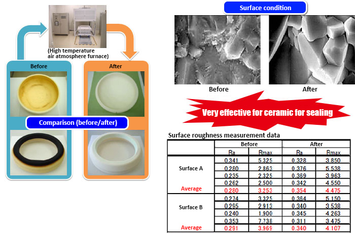 Ceramic / Quartz parts annealing refurbishment
