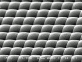 マイクロレンズアレイのSEM