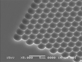 マイクロレンズアレイのSEM