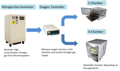 Oxygen Controller ProOx110