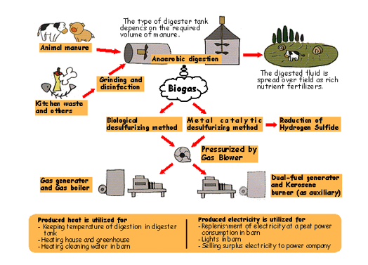 Flow Chart of Biogas System（Example of Biogas power generation from raw sewage）