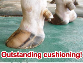Super Soft Green Mat: Outstanding cushioning