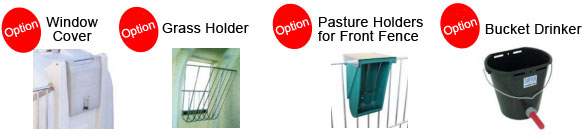 Option