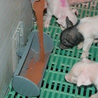 画像：給与方法