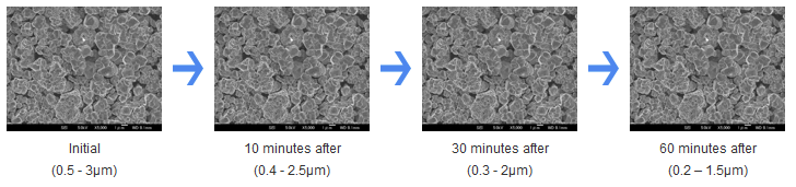 SEM image：Initial size of the grain is approximately 0.5 – 3µm