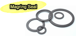Magring Seal