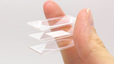 生体機能チップ Organ-on-a-Chip